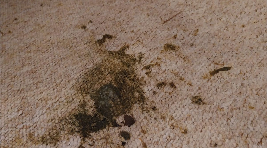 stain removal